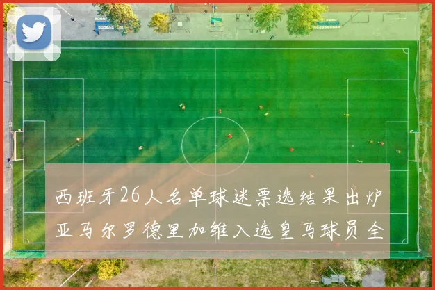 西班牙26人名单球迷票选结果出炉亚马尔罗德里加维入选皇马球员全无