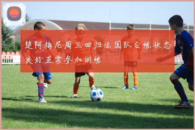 楚阿梅尼周三回归法国队合练状态良好正常参加训练